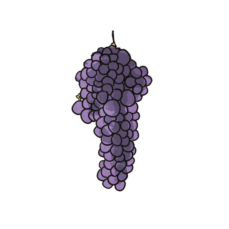 winepills